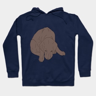 Chocolate Labrador Saying Sorry Hoodie